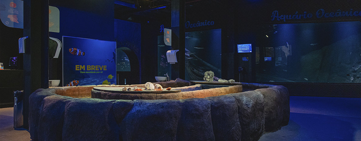Passaporte da Diversão = Oceanic Aquarium + Classic Car Show + Aventura Pirata + Cinema 3D
