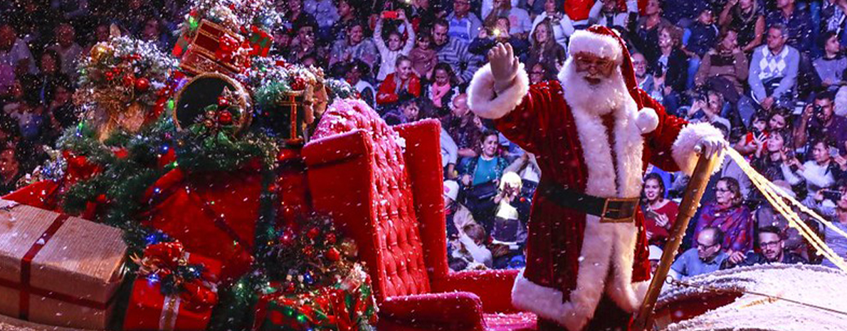 Ingresso Espetáculo Natal Luz - O Grande Desfile de Natal: A Magia que Abraça a Cidade **Temporada 2024/2025**