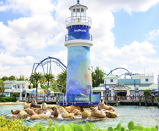 SeaWorld Orlando® (1 dia)