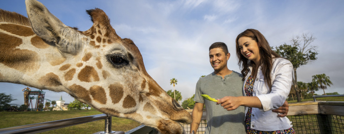 SeaWorld® e Busch Gardens + Pacote de alimentação (2 dias)