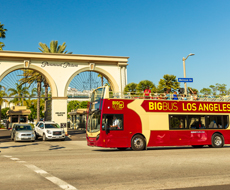 Big Bus Tour - Ingresso Ônibus Panorâmico Discover - 01 dia em Los Angeles