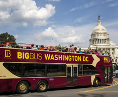 Big Bus Tour - Ingresso Ônibus Panorâmico Discover - 01 dia em Washington