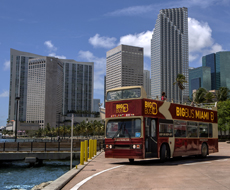 Big Bus Tour - Ingresso Ônibus Panorâmico Explore - 02 dias em Miami