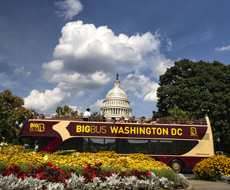 Big Bus Tour - Ingresso Ônibus Panorâmico Explore - 02 dias em Washington	