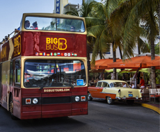 Big Bus Tour - Ingresso Ônibus Panorâmico Essential - 02 dias em Miami	