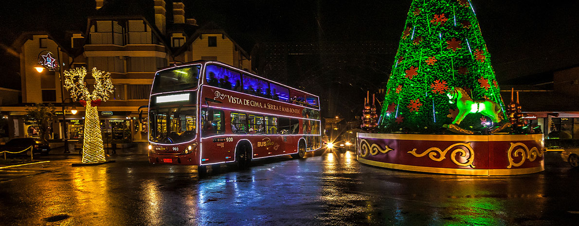 Bustour Illumination Show