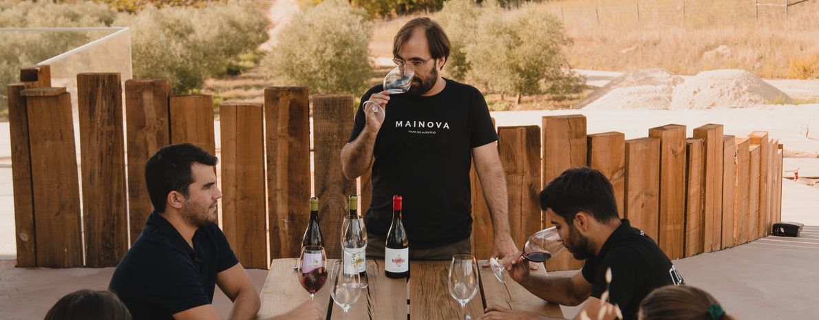 Vinícola Mainova - Degustação de Vinhos e Azeites Superior 