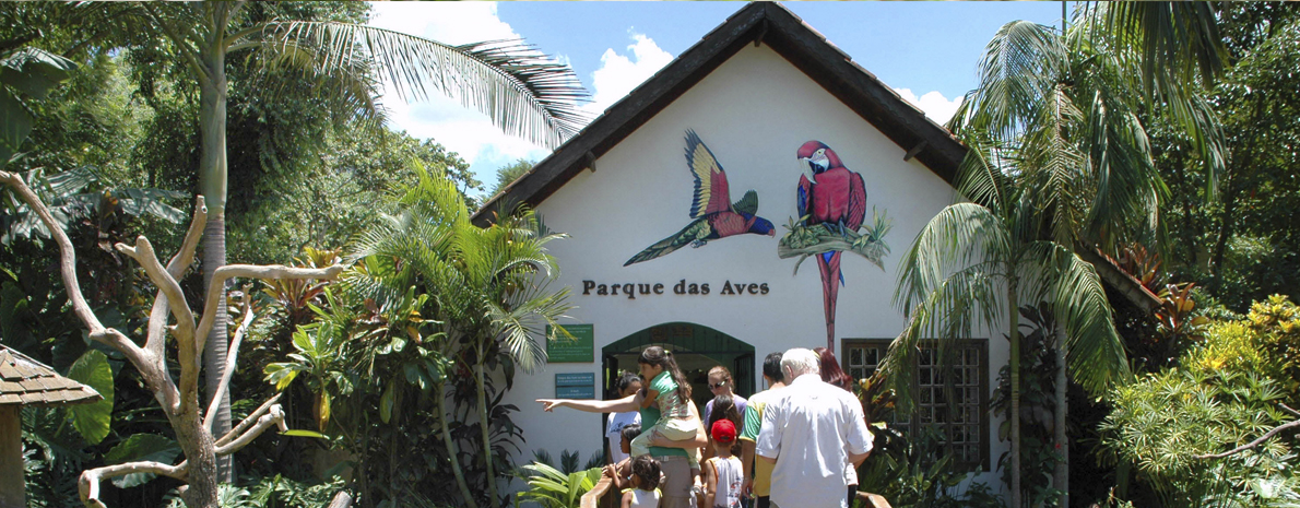 Dreams Eco Park ( Aves de Rapina ) - Ingresso