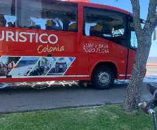 City tour em ônibus turístico por Colônia del Sacramento (sistema hop-on/hop-off) (saída de Colônia)