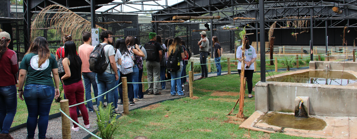 Ingresso ao Zoo das Aves em Poços de Caldas