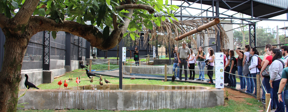 Ingresso ao Zoo das Aves em Poços de Caldas