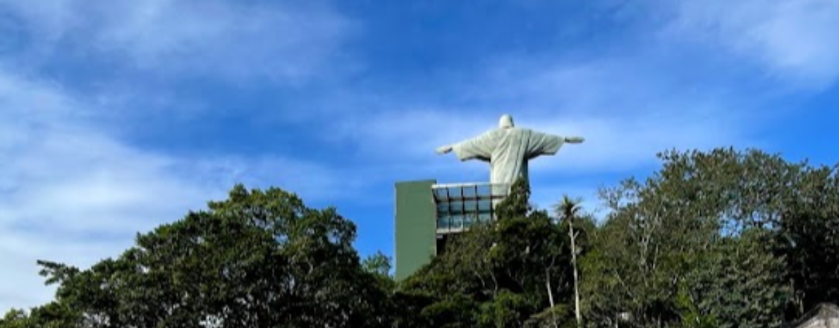 Paineiras Corcovado - Ingresso + Transporte ( saída do Largo do Machado )