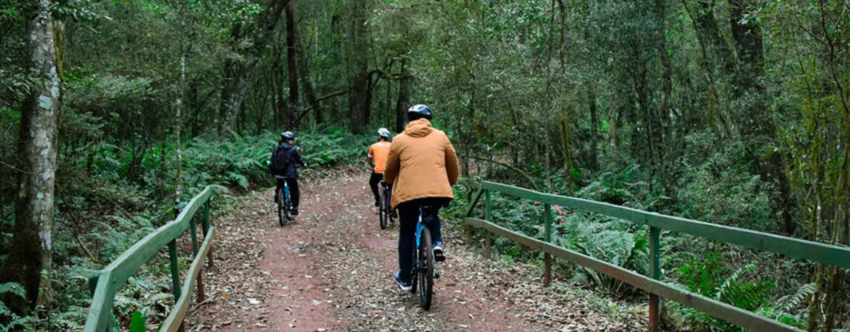 Bike Poço Preto - Passeio de bicicleta nas Cataratas - Ingresso