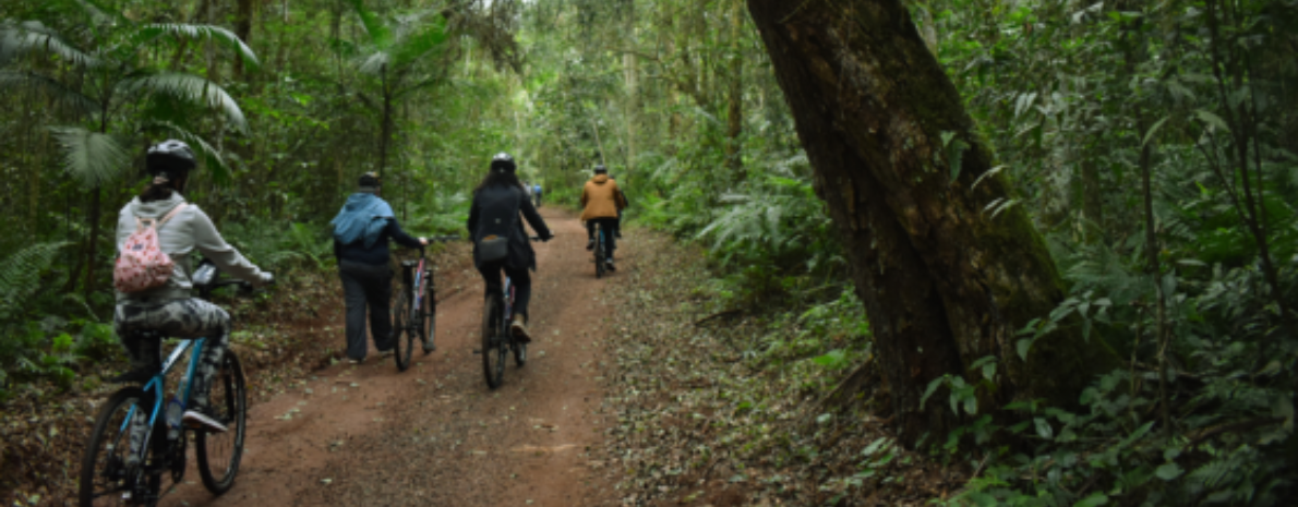 Bike Poço Preto - Passeio de bicicleta nas Cataratas - Ingresso