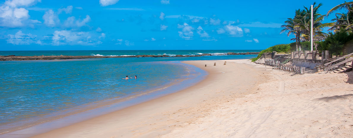 Praias do Litoral Sul com Praia de Camurupim e visita ao Maior Cajueiro do Mundo