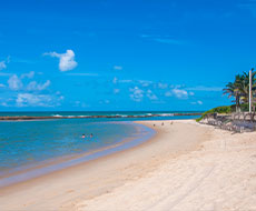 Praias do Litoral Sul com Praia de Camurupim e visita ao Maior Cajueiro do Mundo