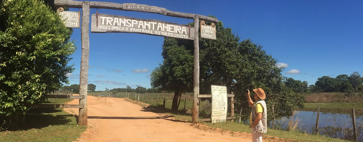 Safari tour Pantanal - Dia Inteiro