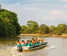 Safari tour Pantanal - Dia Inteiro