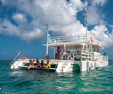 Tour to Maracajaú Beach with speedboat ride