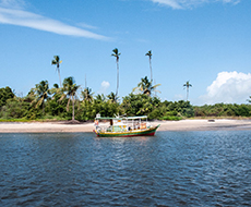 Tour to Cunhaú Beach with boat trip