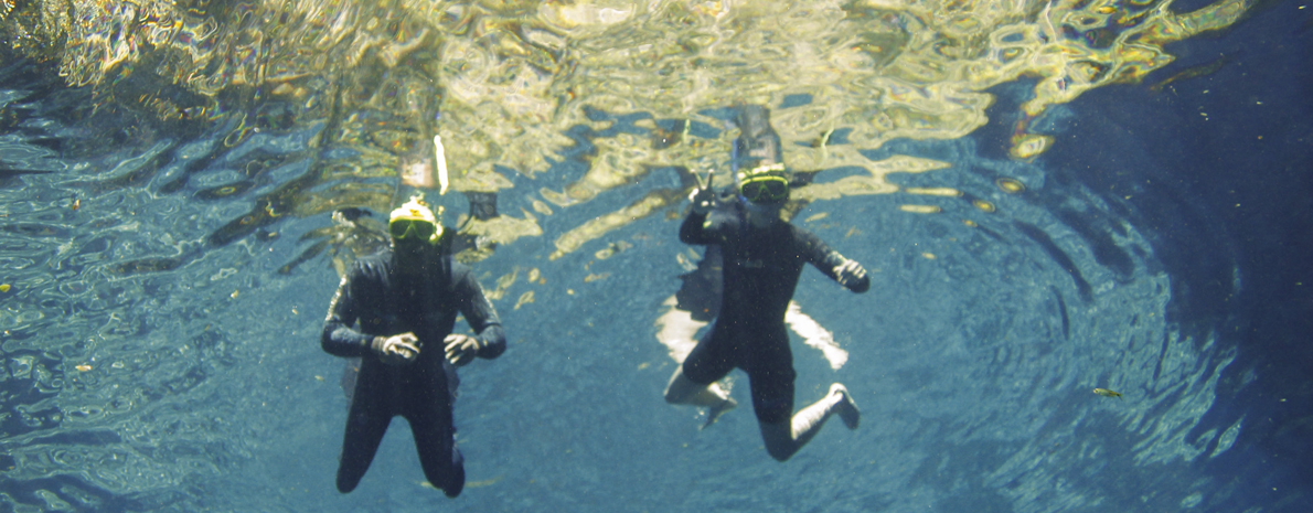 Mergulho Lagoa Misteriosa (Batismo) - com transfer de hotéis em Bonito