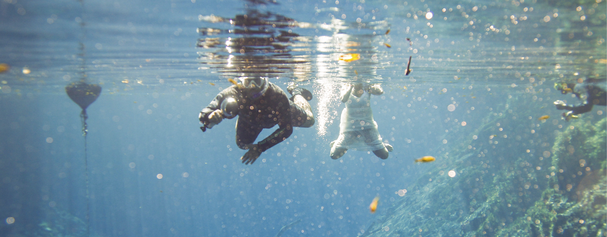 Mergulho Lagoa Misteriosa (Batismo) - com transfer de hotéis em Bonito