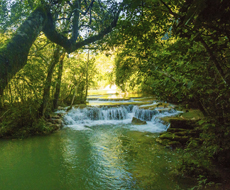 Estancia Mimosa - trilhas e cachoeiras - com transfer de hotéis em Bonito