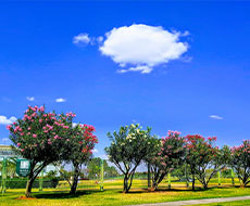 Tour Brasília Verde (Privativo) de 06 horas + Almoço