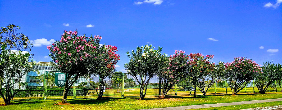 Tour Brasília Verde (Privativo) de 06 horas + Almoço