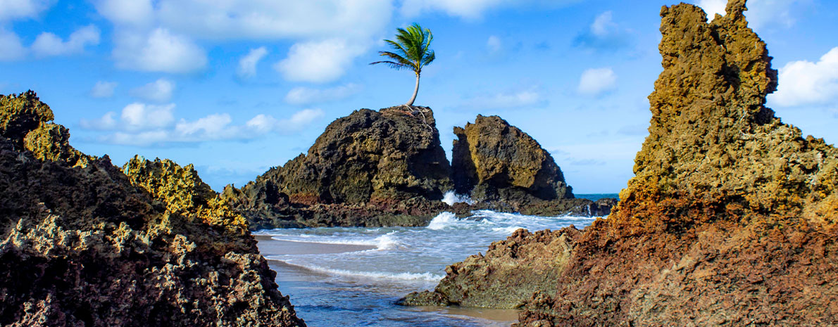 Praias da Costa do Conde - Litoral Sul (Praias Coqueirinho, Tambaba e Tabatinga)