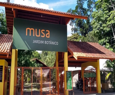 MUSA - Museu da Amazônia - Privativo