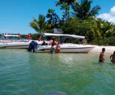 Ilhas da Baia de Camamu (Veículo de Turismo + Lancha Rápida) - Saída de Ilhéus