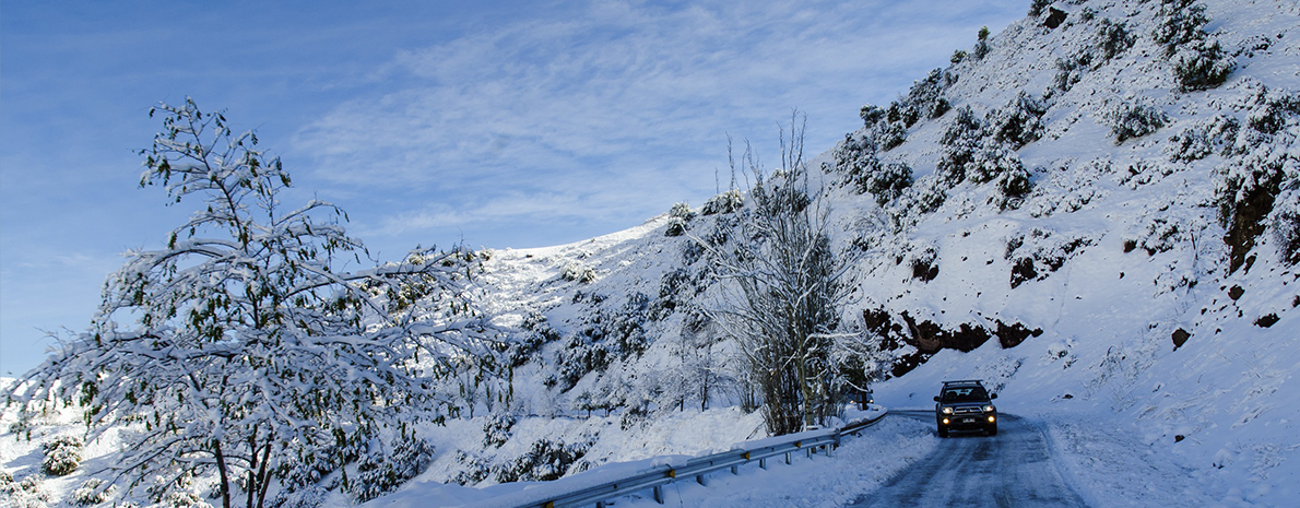 Tour Panorâmico pela Cordilheira dos Andes (Farellones e Valle Nevado)