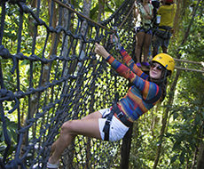 Tree climbing circuit in Conduru Park + Zipline (Optional) - Departure from Itacaré 