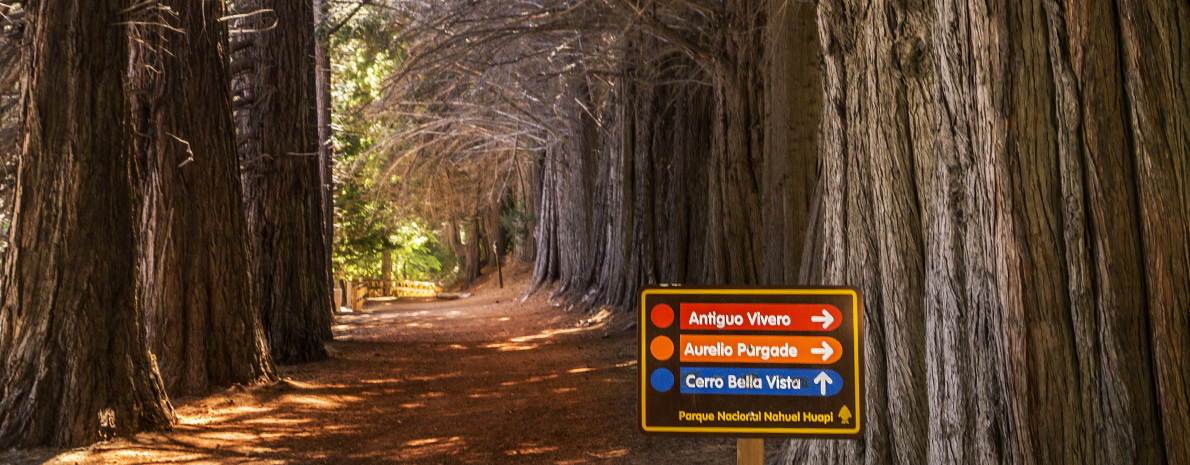 Passeio à Isla Victória e Bosque Arrayanes