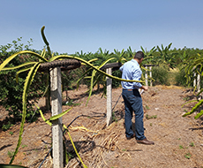 City Tour ao CPAC EMBRAPA (Centro de Pesquisas Agropecuárias) - Privativo