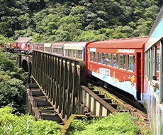 Passeio de Trem Pôr do Sol Completo (Classe Boutique - Vagões: Camarote ou Imperial ou Barão do Serro Azul) - com transporte