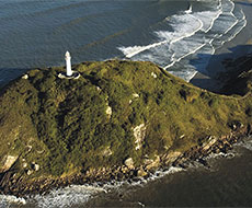 Ilha do Mel Rodoviário com almoço