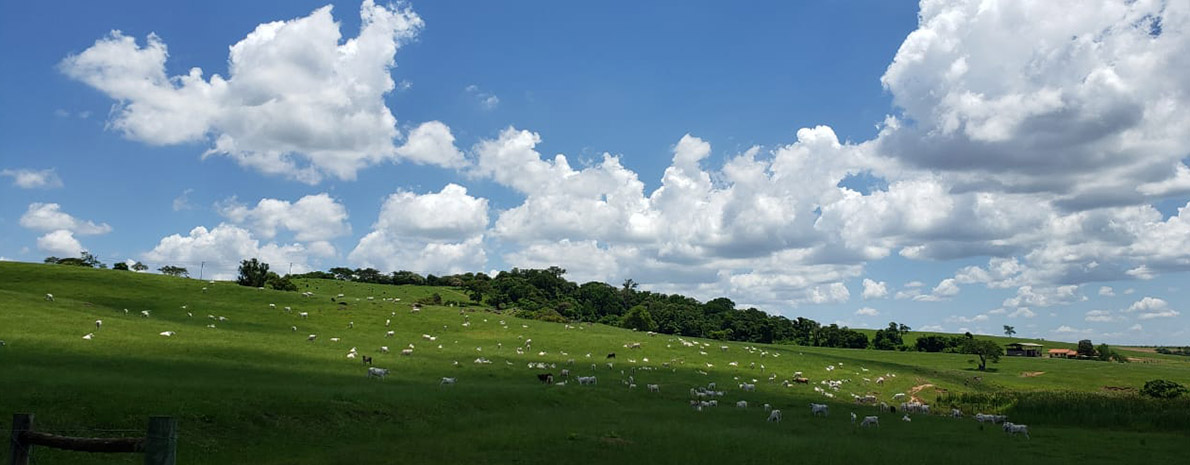 Fazenda Bandeirista e Passeio a Cavalo em Itu 