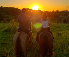 Fazenda Bandeirista e Passeio a Cavalo em Itu 