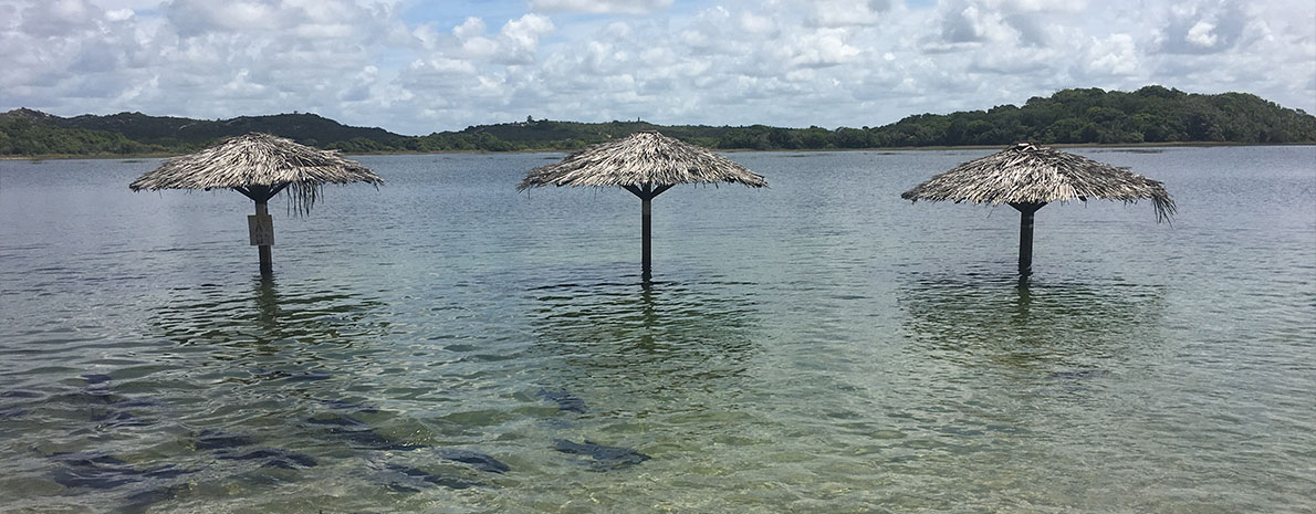 Passeio a Praia do Saco + Lagoa dos Tambaquis - saída dos hotéis da orla de Aracaju