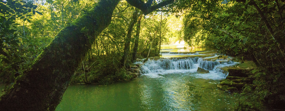 Estancia Mimosa - Trilhas e cachoeiras - sem transporte