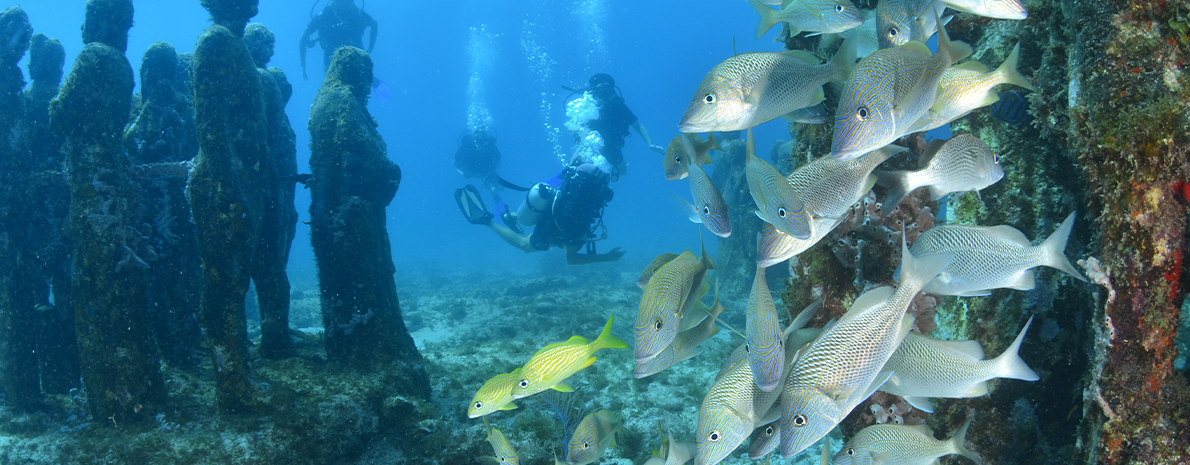 Discover Scuba Diving Cancún