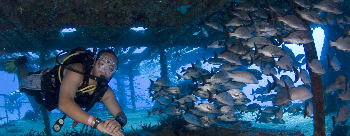 Mergulho em Cancún - Dois Tanques