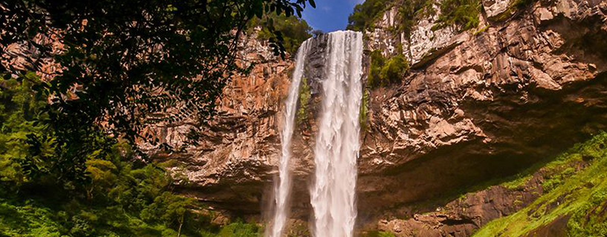 Tour Pé da Cascata Explorer - Com café na casa da Vó Ivone