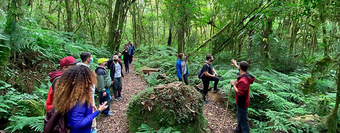 Tour Pé da Cascata Explorer - Cascata do Caracol com Piquenique