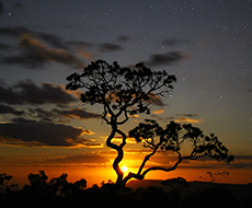 Chapada dos Veadeiros - 8 dias e 7 noites - Categoria Superior