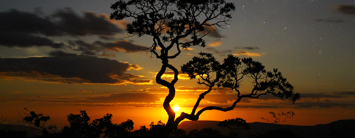 Chapada dos Veadeiros - 8 dias e 7 noites - Categoria Luxo