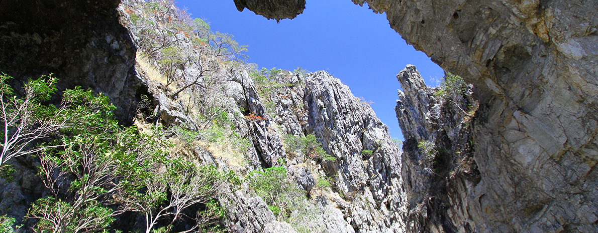 Chapada dos Veadeiros - 5 dias e 4 noites em São Jorge - Categoria Superior