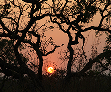 Chapada dos Veadeiros - 4 days and 3 nights - Superior Category